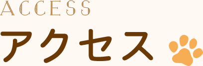 アクセス